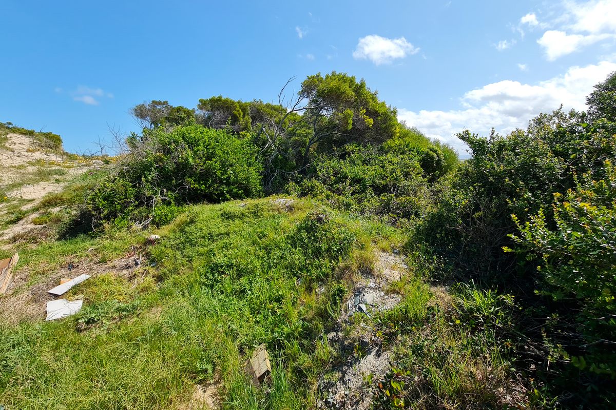 Elevated Stand with Views in Paradise Beach, Jeffreys Bay - Photo 4