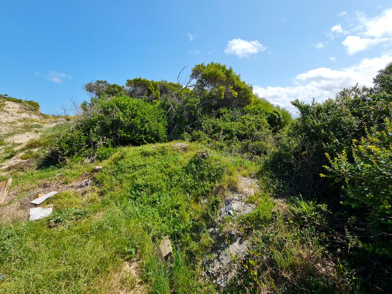 Elevated Stand with Views in Paradise Beach, Jeffreys Bay - Photo 4