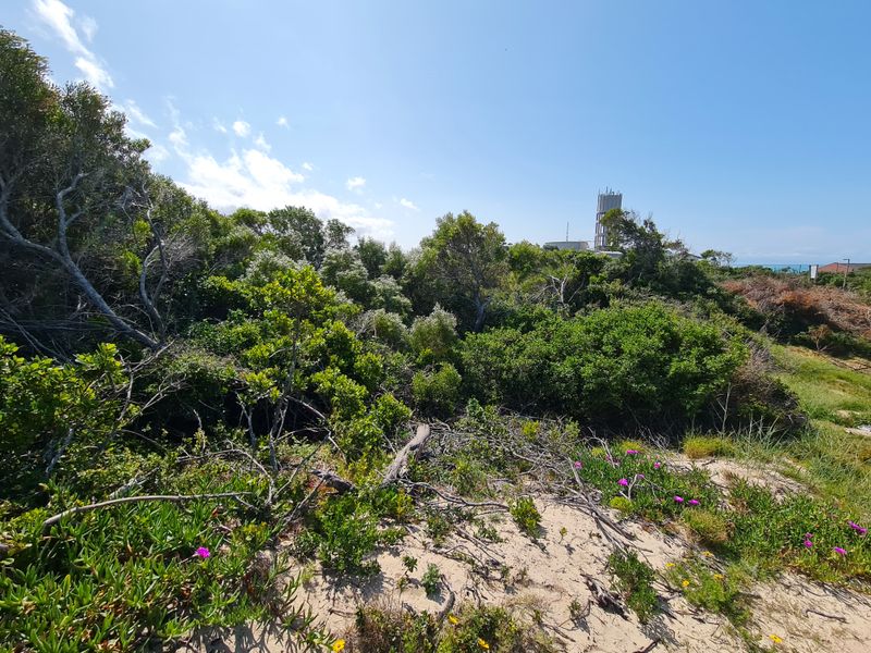 Elevated Stand with Views in Paradise Beach, Jeffreys Bay - Photo 6