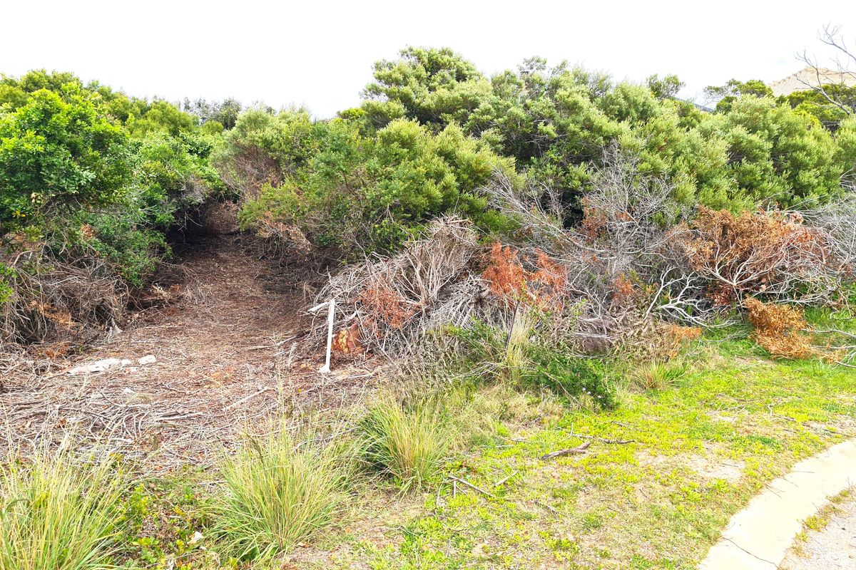 Large Vacant Stand, Moments from the Water in Paradise Beach, Jeffreys Bay - Photo 5