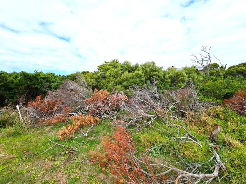 Large Vacant Stand, Moments from the Water in Paradise Beach, Jeffreys Bay - Photo 3