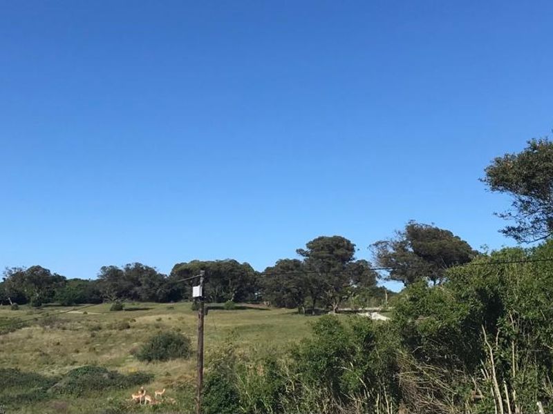 Lovemore Park Plot n Plan - Photo 6