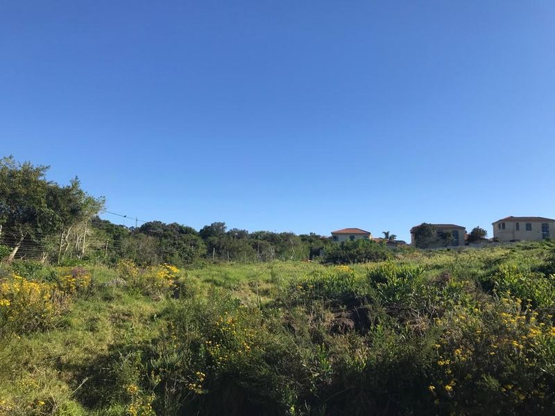 Lovemore Park Plot n Plan - Photo 3