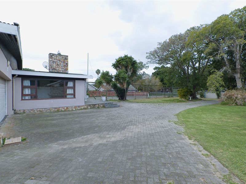 "Golden Oldie" Spacious Upper Walmer Property - Photo 6