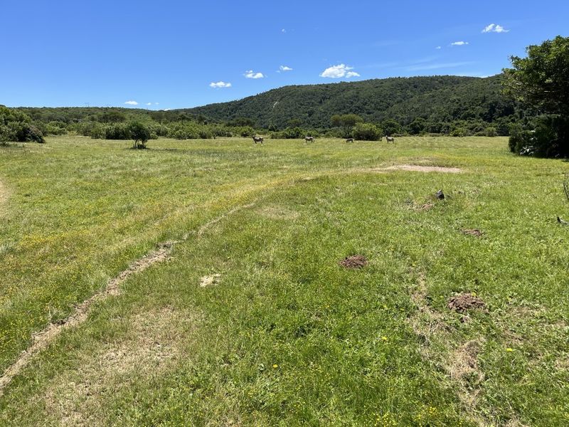 Fully Operational Game Farm on the Coast - Photo 8