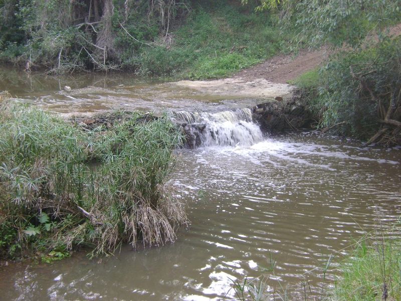 Fully Operational Game Farm on the Coast - Photo 7