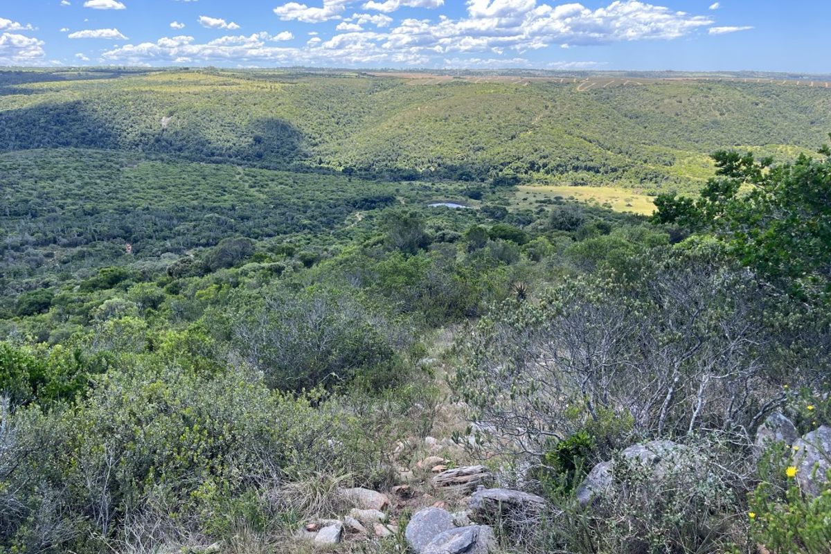 Fully Operational Game Farm on the Coast - Photo 2