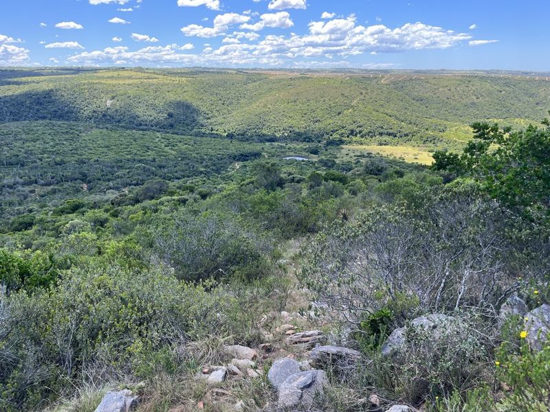 Fully Operational Game Farm on the Coast - Photo 2