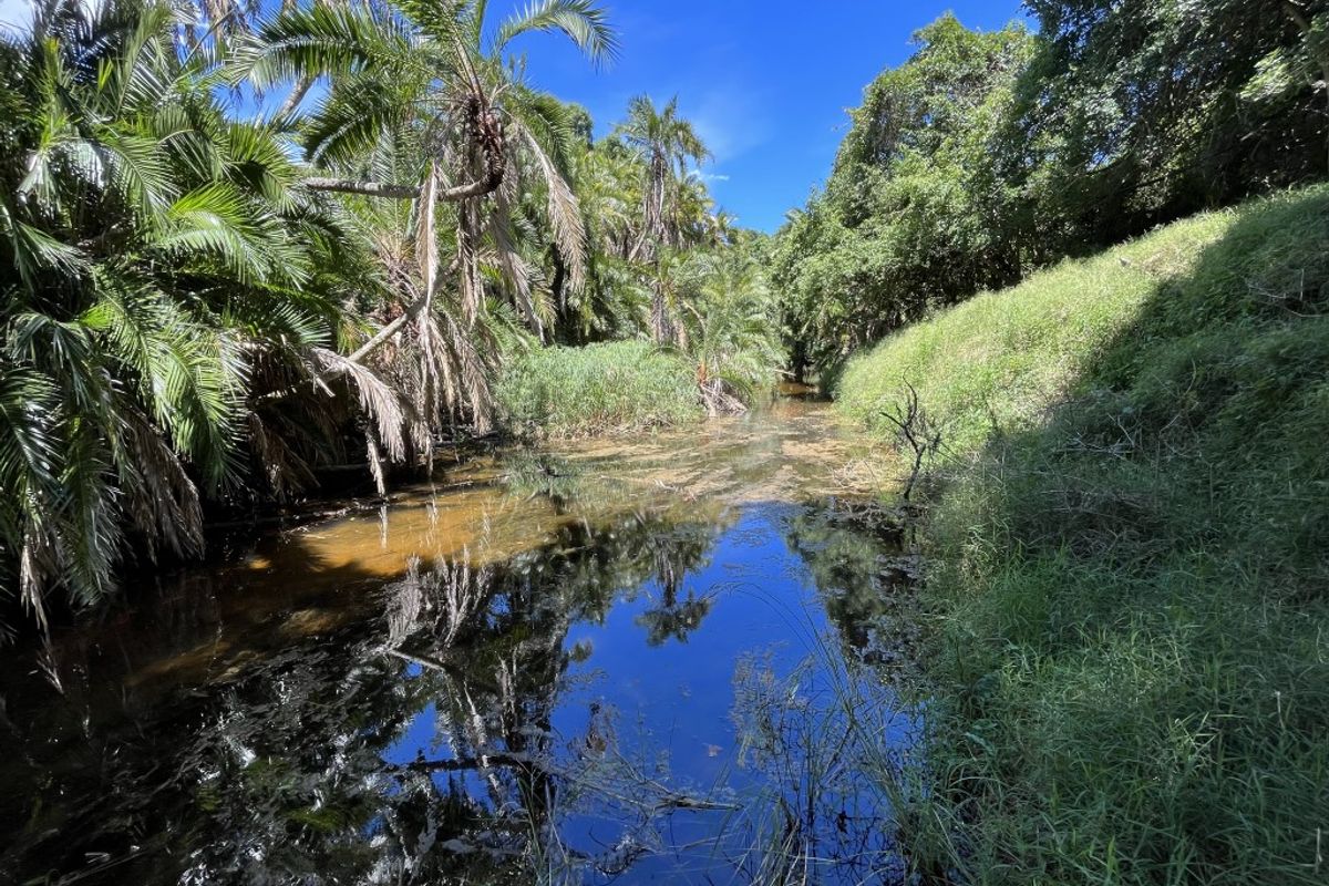 Fully Operational Game Farm on the Coast - Photo 3