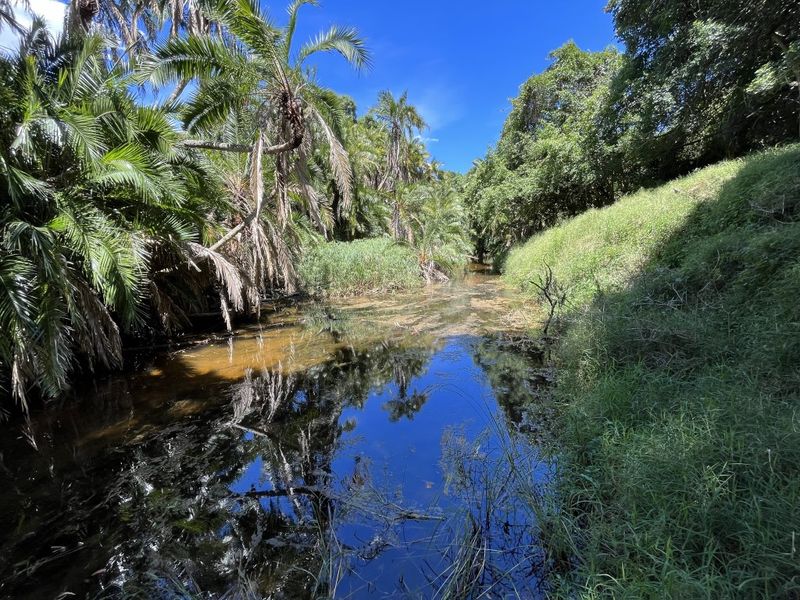 Fully Operational Game Farm on the Coast - Photo 3