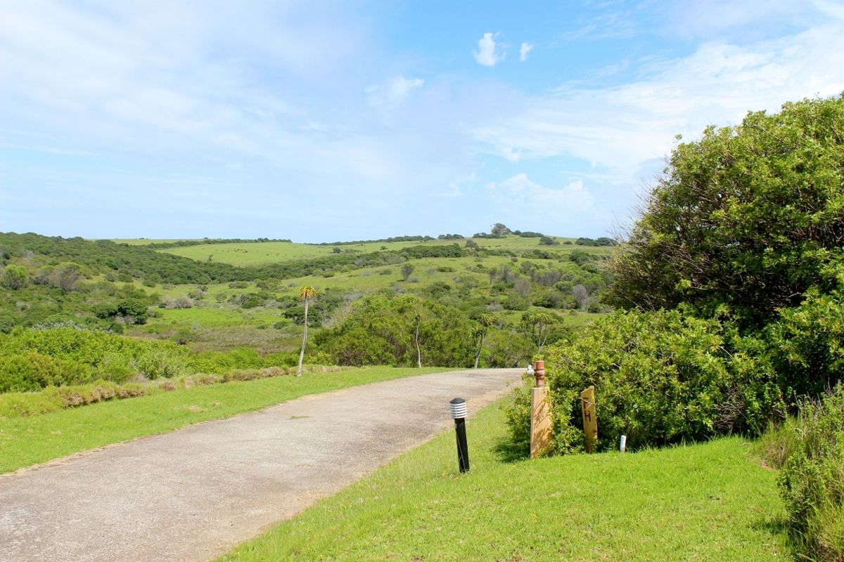 Vacant Land With Sea Views In Umdoni Downs, Port Alfred - Photo 3