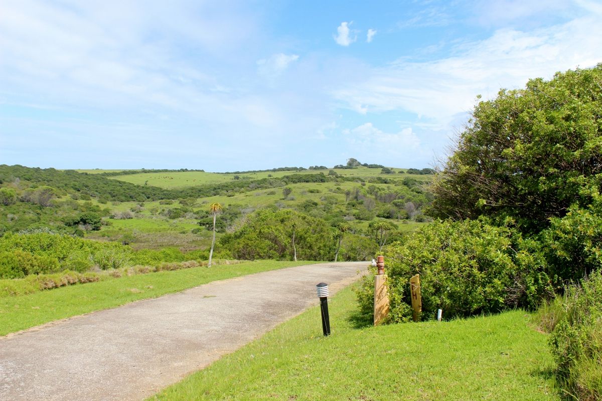 Vacant Land With Sea Views In Umdoni Downs, Port Alfred - Photo 5