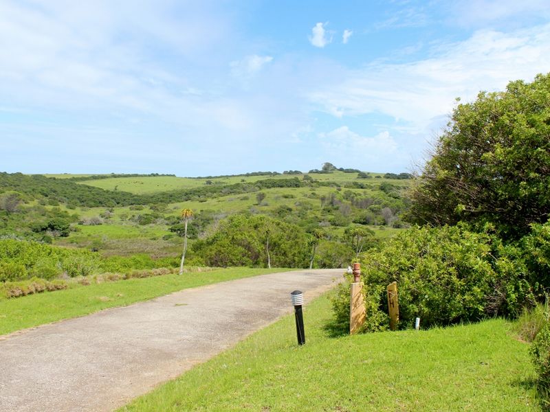 Vacant Land With Sea Views In Umdoni Downs, Port Alfred - Photo 5