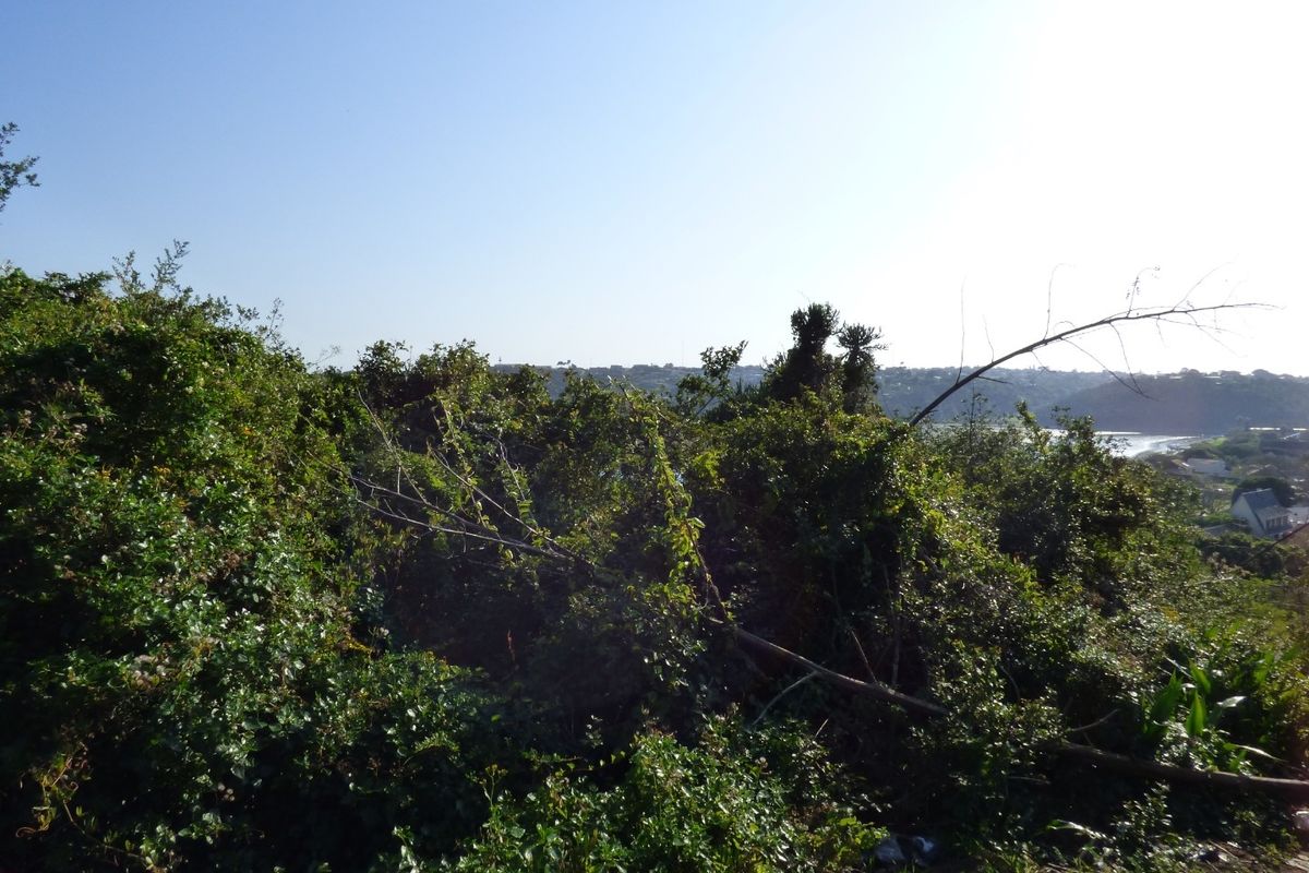 Vacant Land in Becker Street, Port Alfred - Photo 5