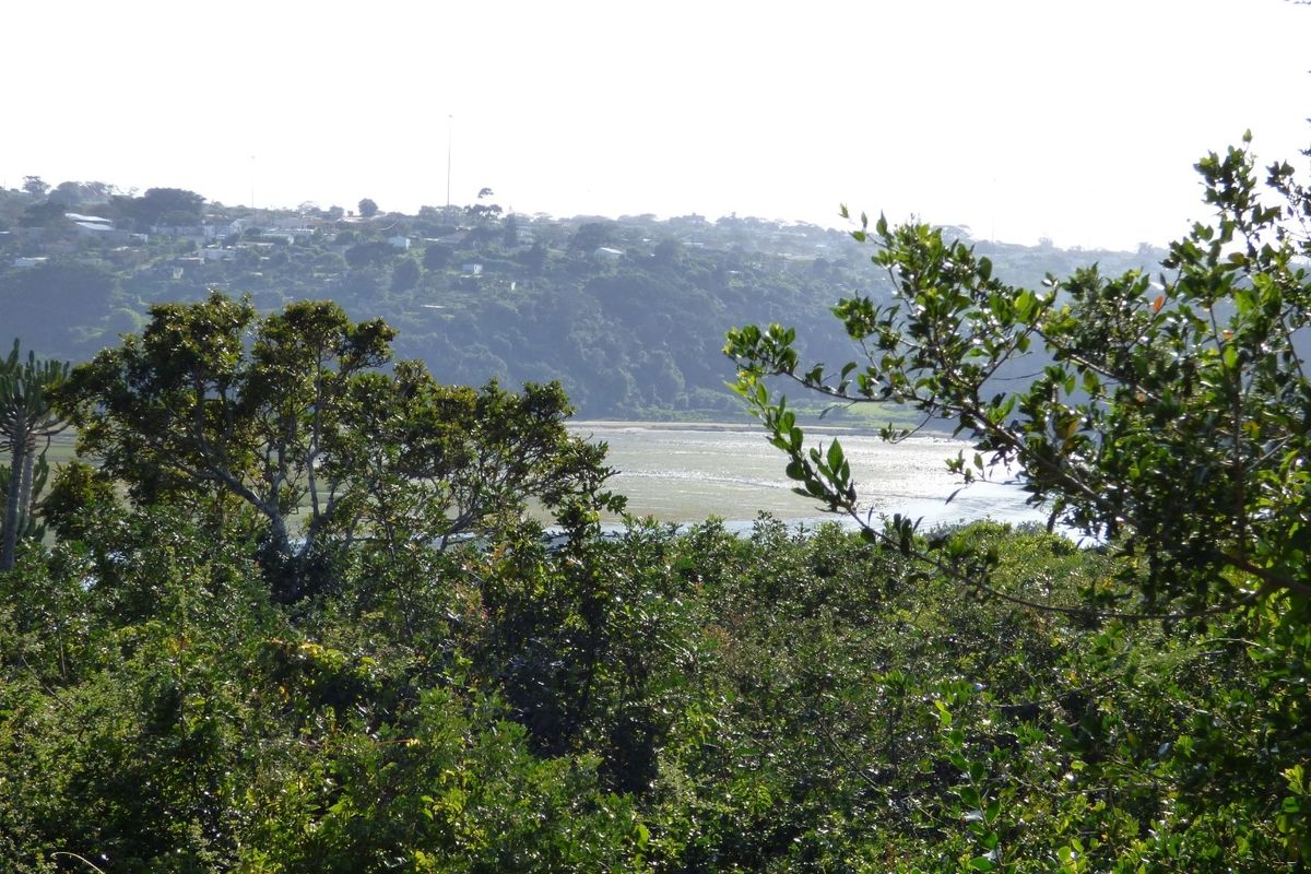 Vacant Land in Becker Street, Port Alfred - Photo 3