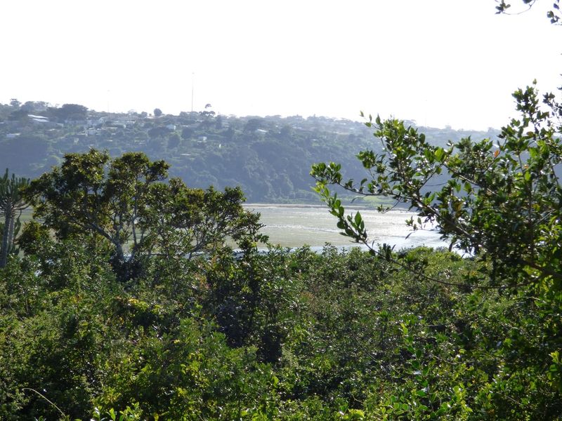 Vacant Land in Becker Street, Port Alfred - Photo 3