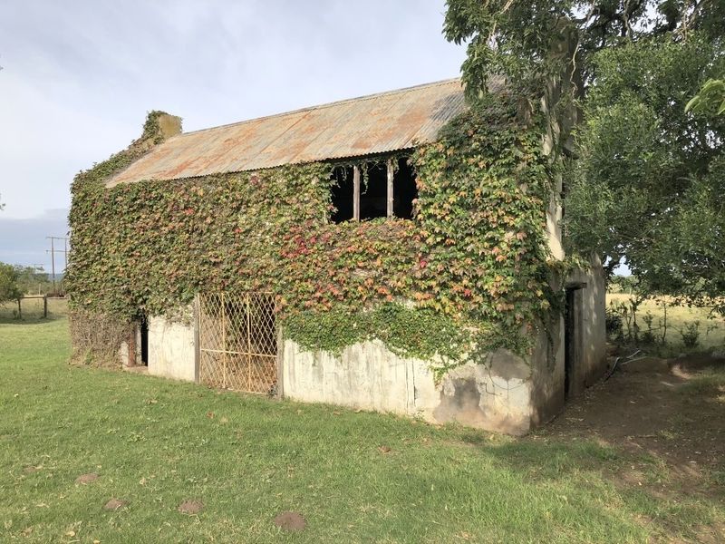 Small Holding With Lots of Potential Near to Bathurst - Photo 10