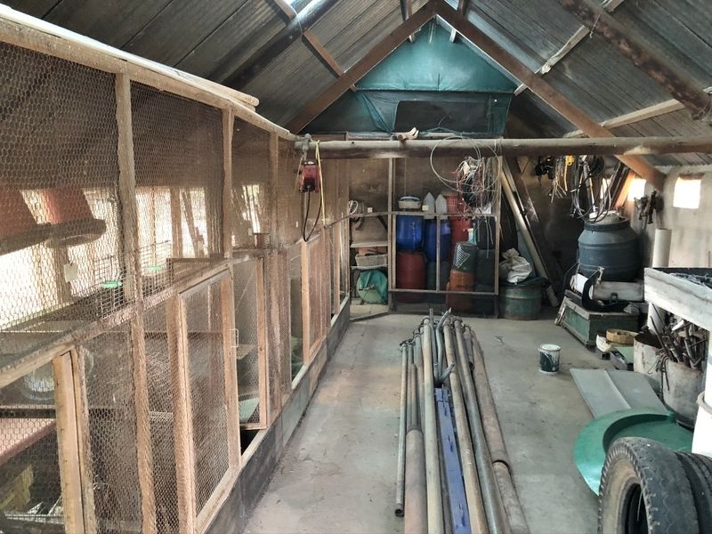 Small Holding With Lots of Potential Near to Bathurst - Photo 8