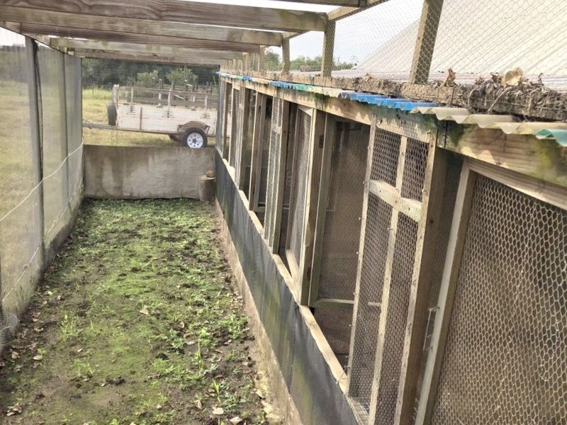 Small Holding With Lots of Potential Near to Bathurst - Photo 6