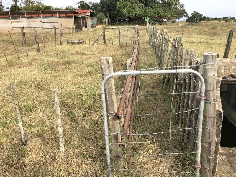 Small Holding With Lots of Potential Near to Bathurst - Photo 7