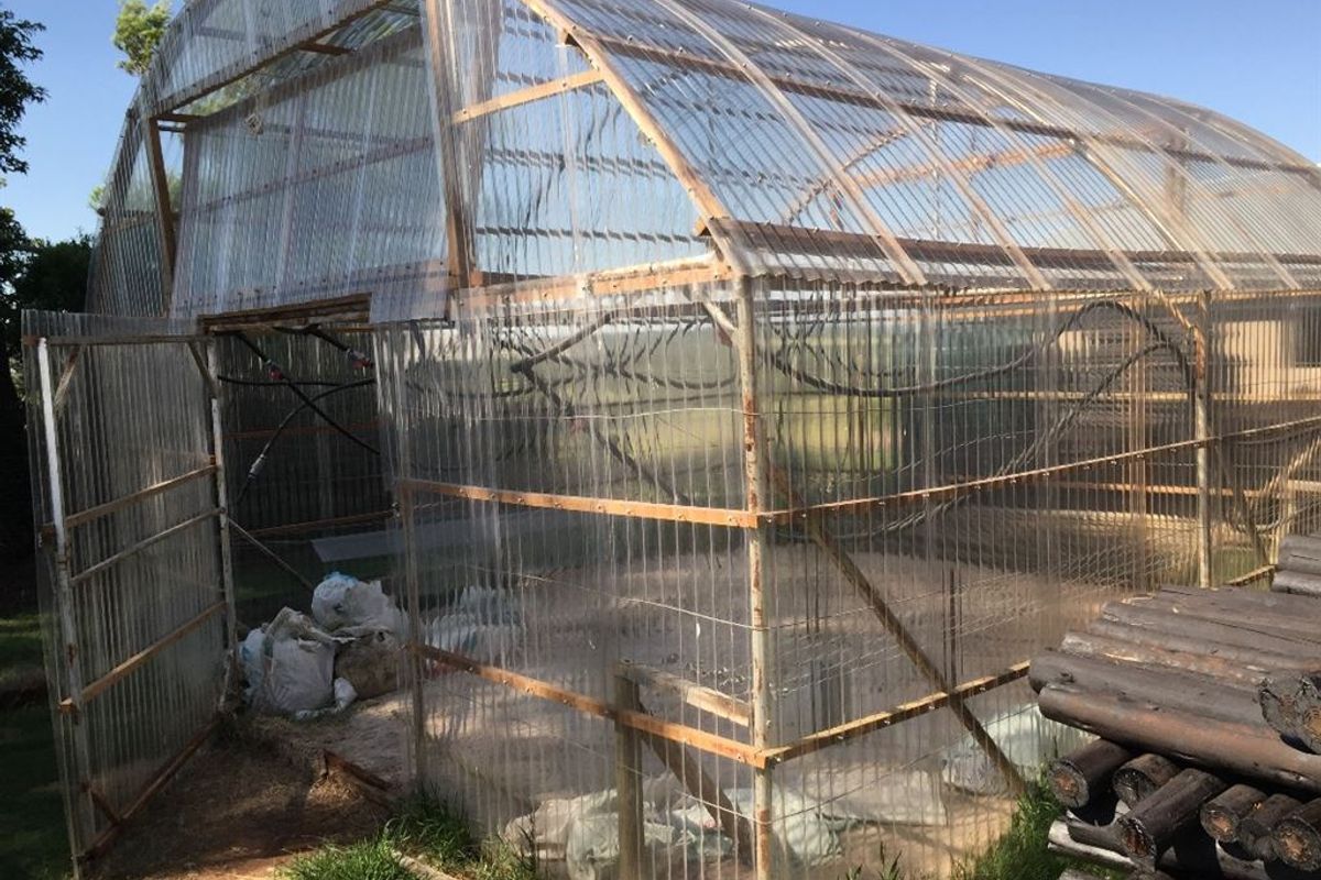 Well Developed Farm Awaiting New Owners - Photo 5