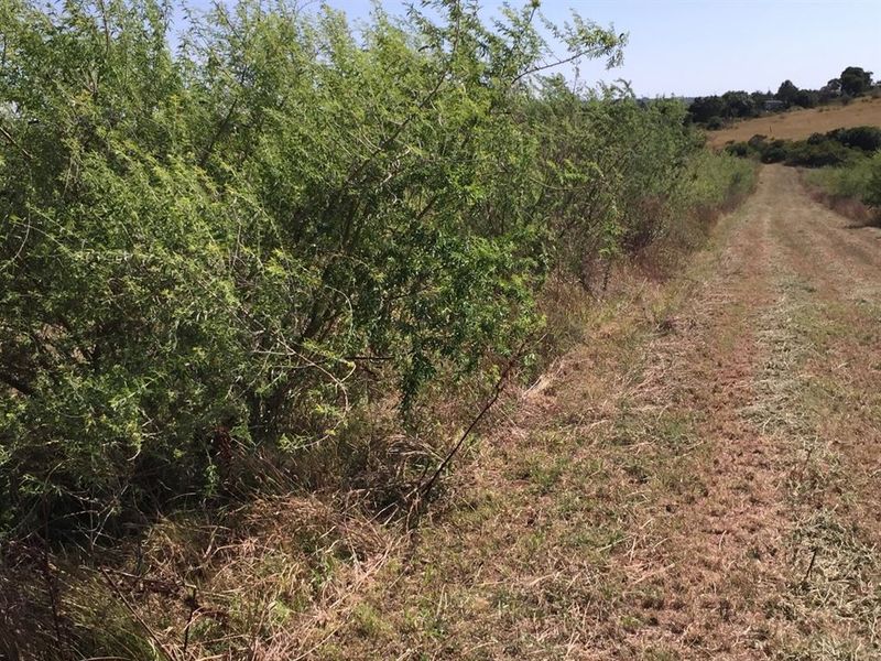 Well Developed Farm Awaiting New Owners - Photo 6