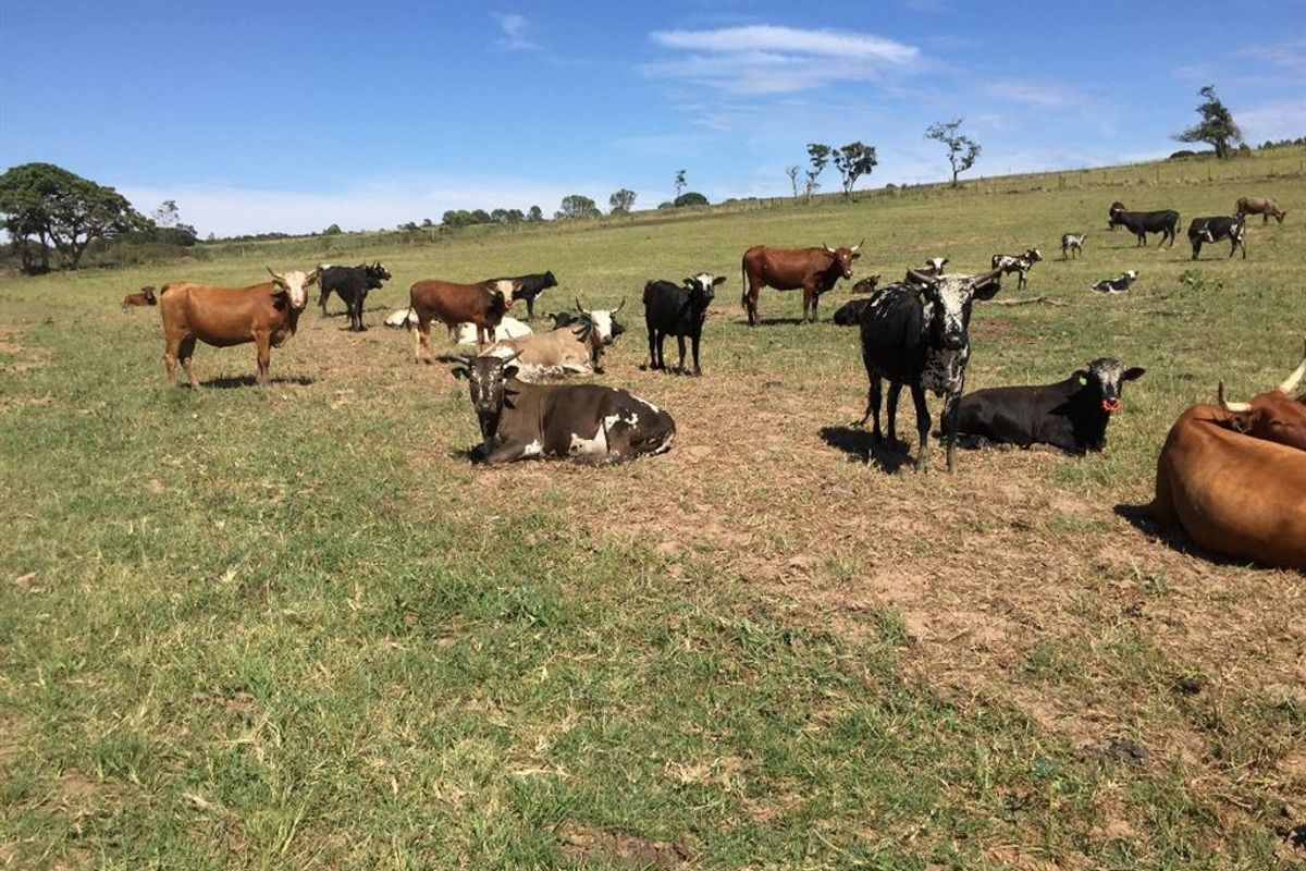 Well Developed Farm Awaiting New Owners - Photo 2