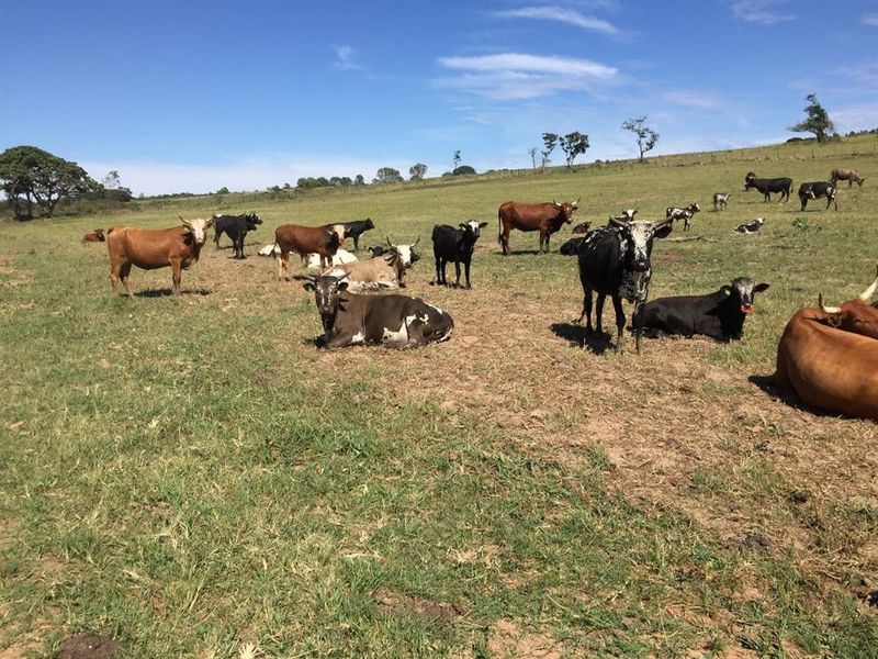 Well Developed Farm Awaiting New Owners - Photo 2