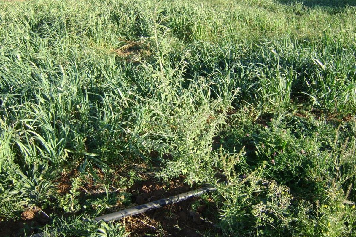 Well Developed Farm Awaiting New Owners - Photo 4