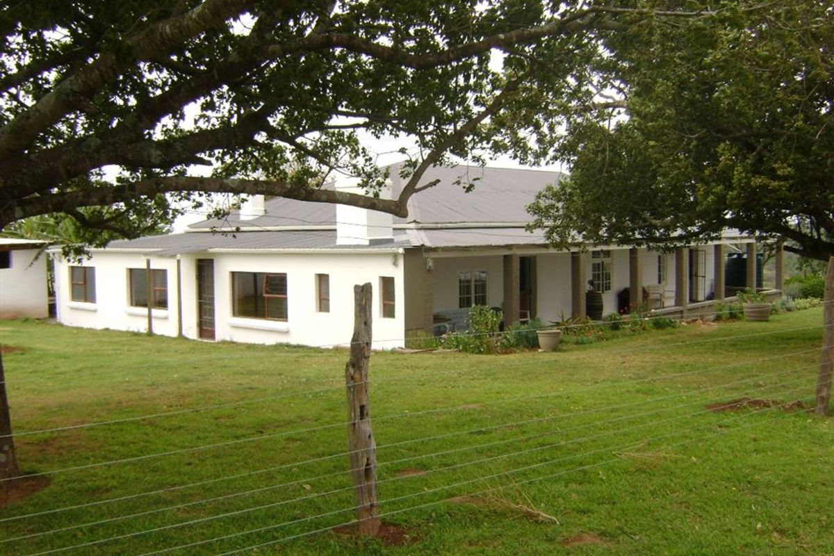 Well Developed Farm Awaiting New Owners - Photo 3