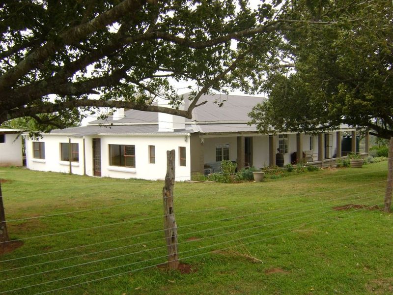 Well Developed Farm Awaiting New Owners - Photo 3