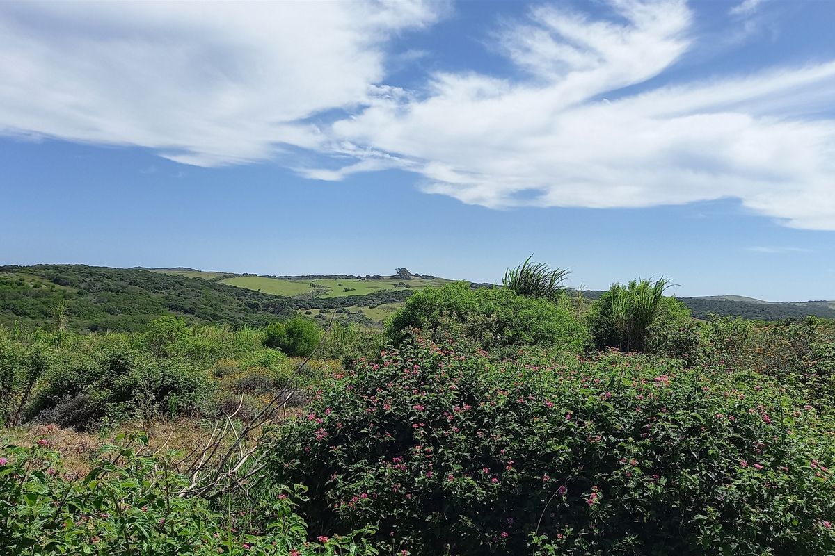 Vacant Land With Sea View For Sale In Port Alfred - Photo 5