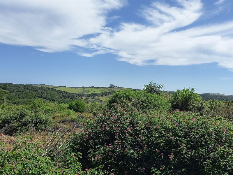 Vacant Land With Sea View For Sale In Port Alfred - Photo 5