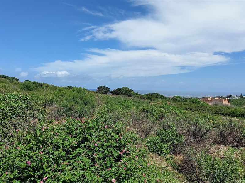 Vacant Land With Sea View For Sale In Port Alfred - Photo 3