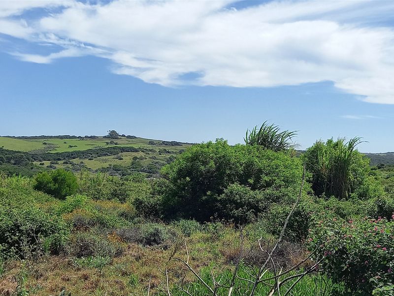 Vacant Land With Sea View For Sale In Port Alfred - Photo 9