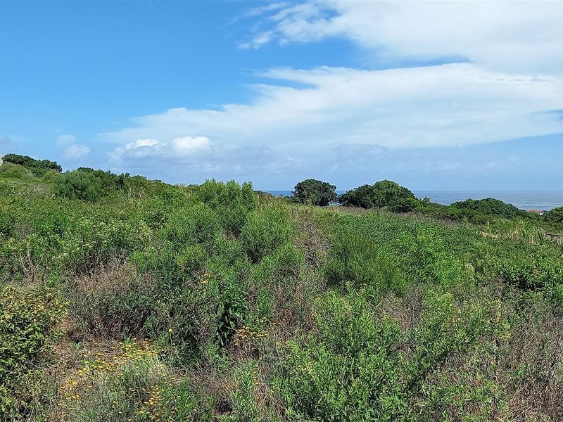 Vacant Land With Sea View For Sale In Port Alfred - Photo 8