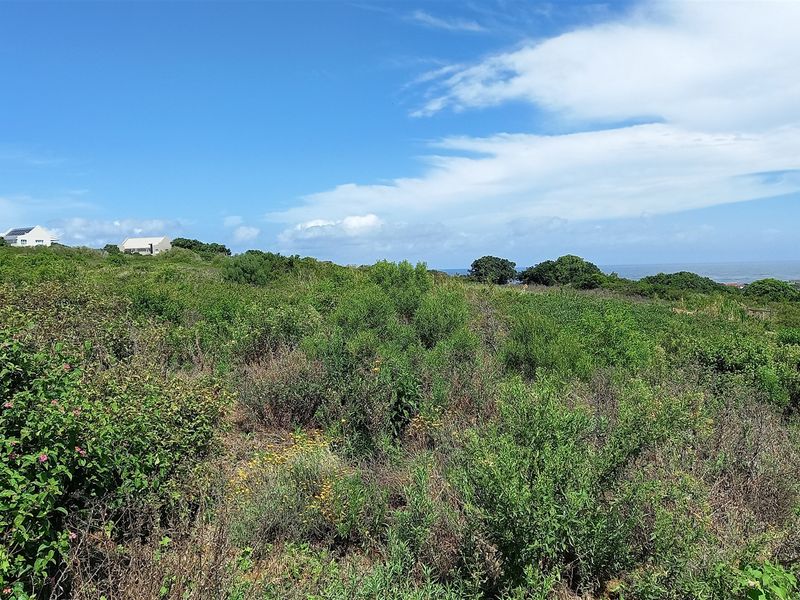 Vacant Land With Sea View For Sale In Port Alfred - Photo 6