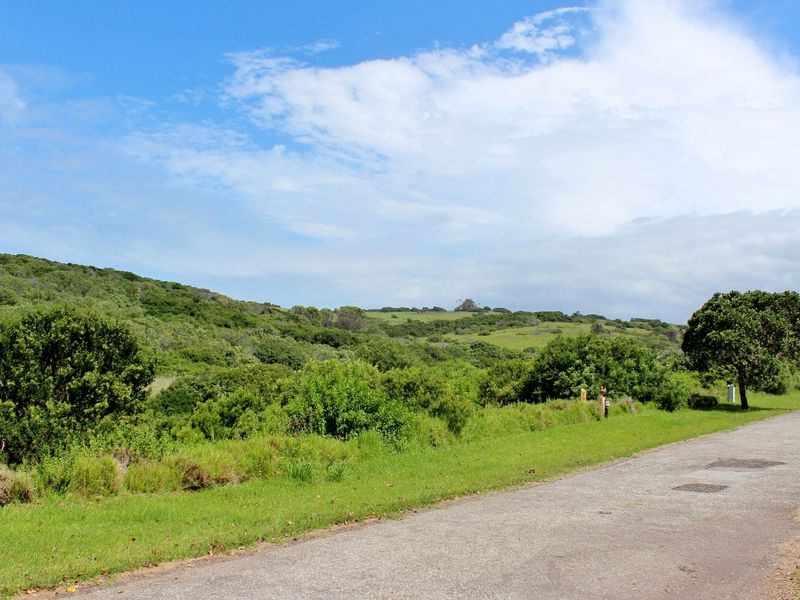 Spacious Plot in Umdoni Downs Estate, Port Alfred - Photo 7