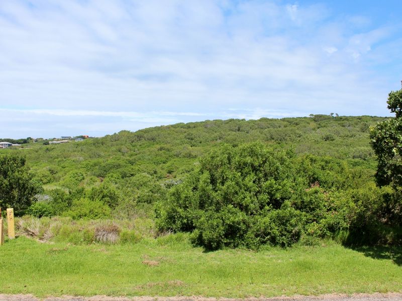Spacious Plot in Umdoni Downs Estate, Port Alfred - Photo 5