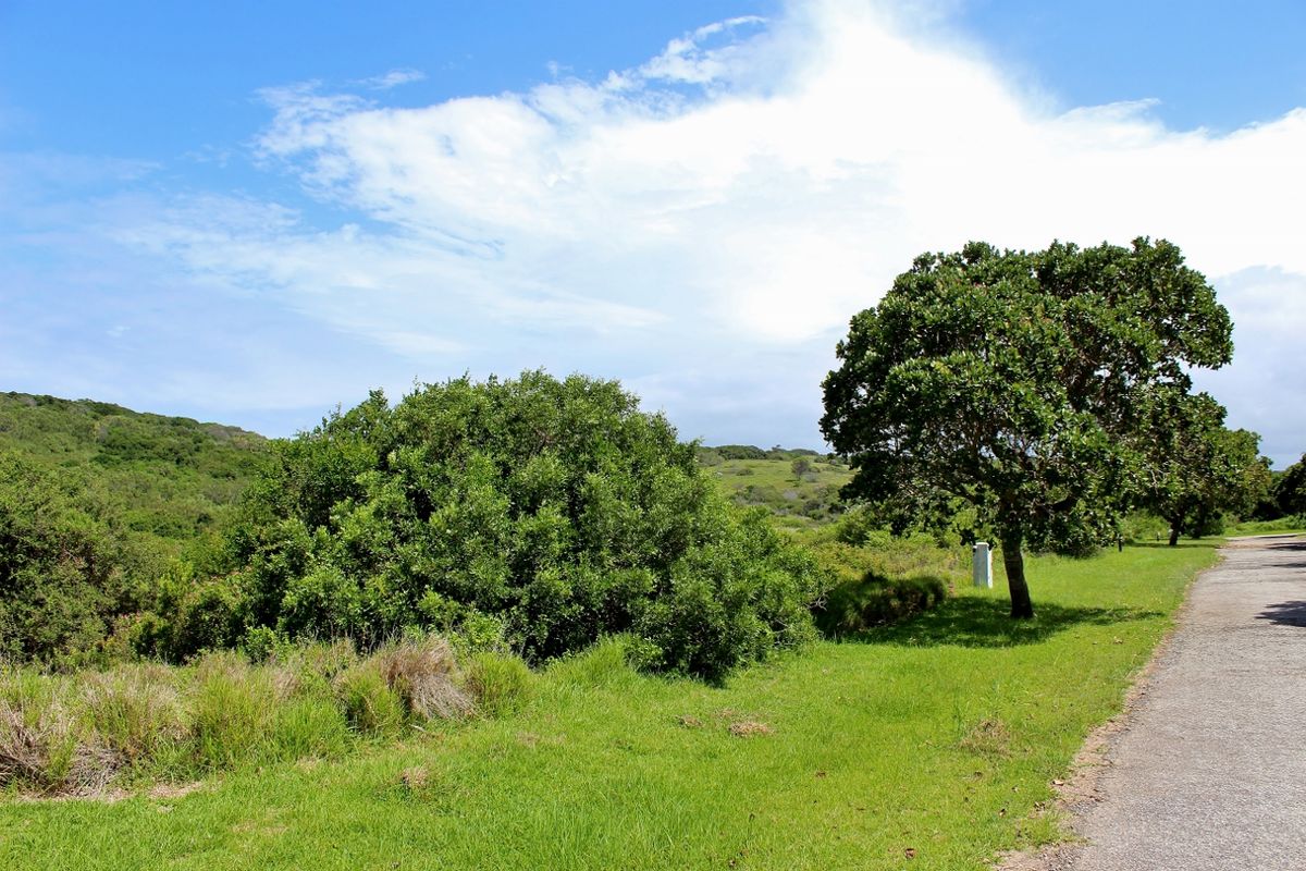 Spacious Plot in Umdoni Downs Estate, Port Alfred - Photo 2