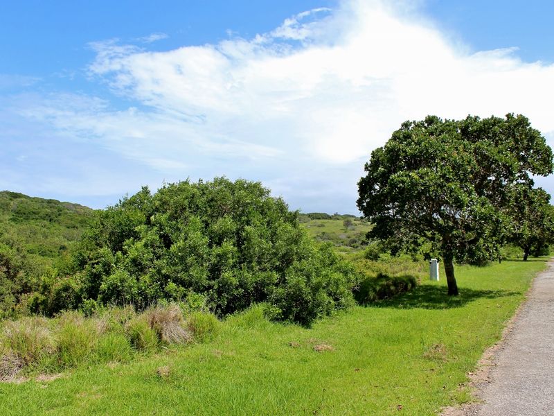 Spacious Plot in Umdoni Downs Estate, Port Alfred - Photo 2