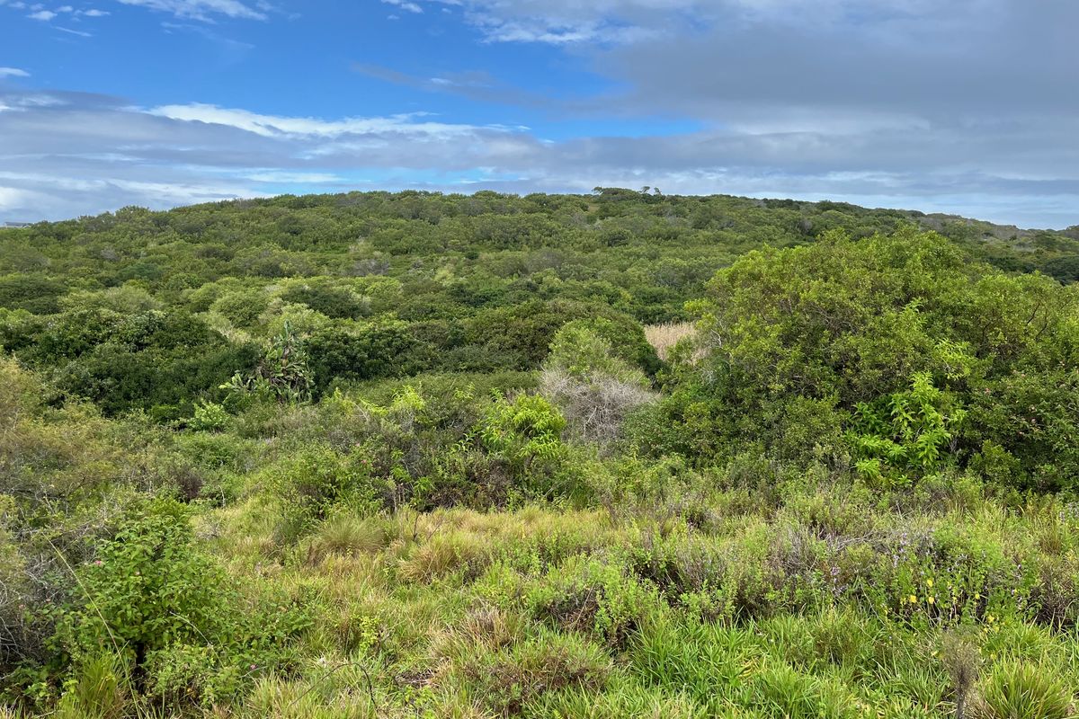 Spacious Plot in Umdoni Downs Estate, Port Alfred - Photo 4