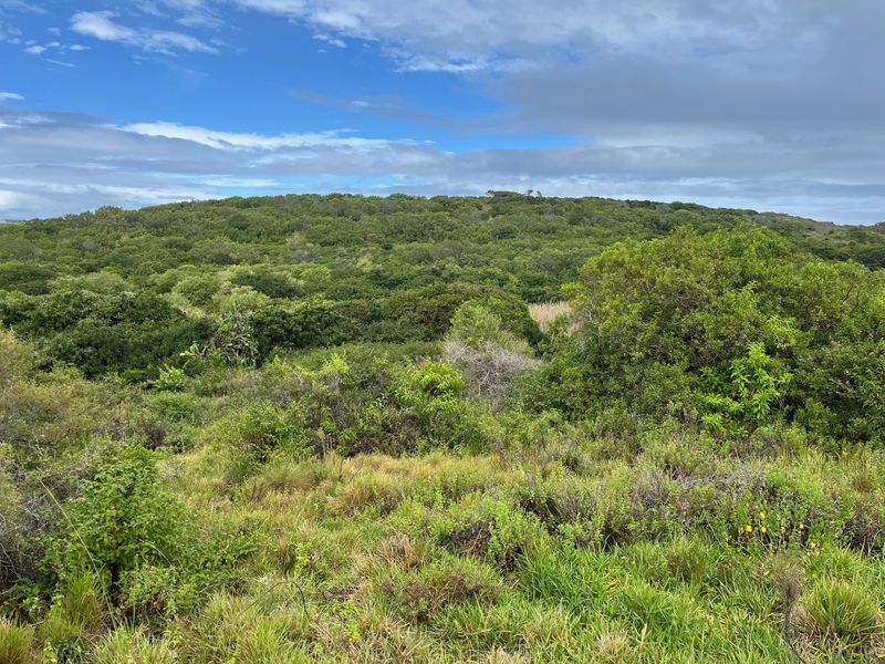 Spacious Plot in Umdoni Downs Estate, Port Alfred - Photo 4