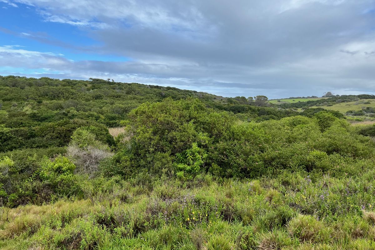 Spacious Plot in Umdoni Downs Estate, Port Alfred - Photo 3