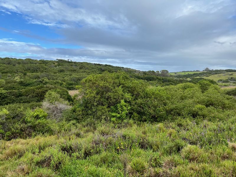 Spacious Plot in Umdoni Downs Estate, Port Alfred - Photo 3