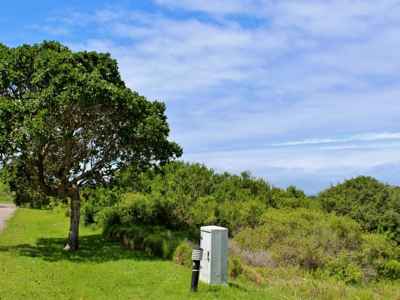 Spacious Plot in Umdoni Downs Estate, Port Alfred - Photo 6