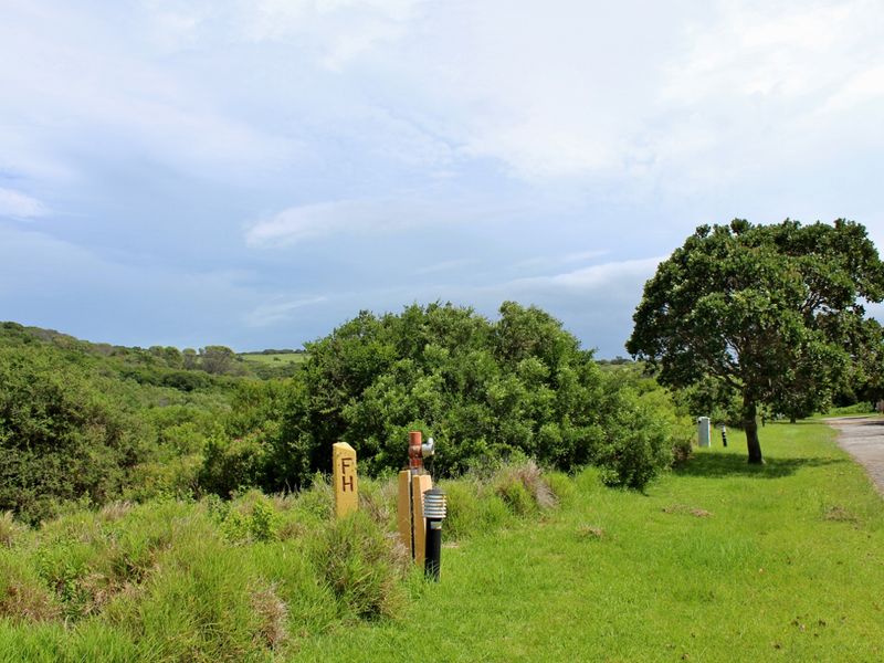 Spacious Plot in Umdoni Downs Estate, Port Alfred - Photo 10