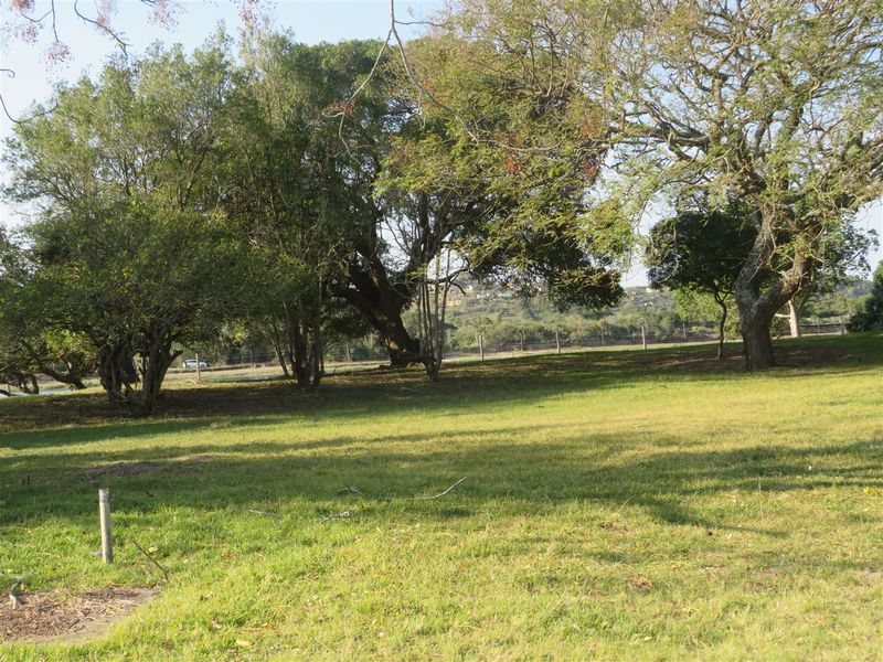 Stunning Plot on the Kowie River in Port Alfred - Photo 10