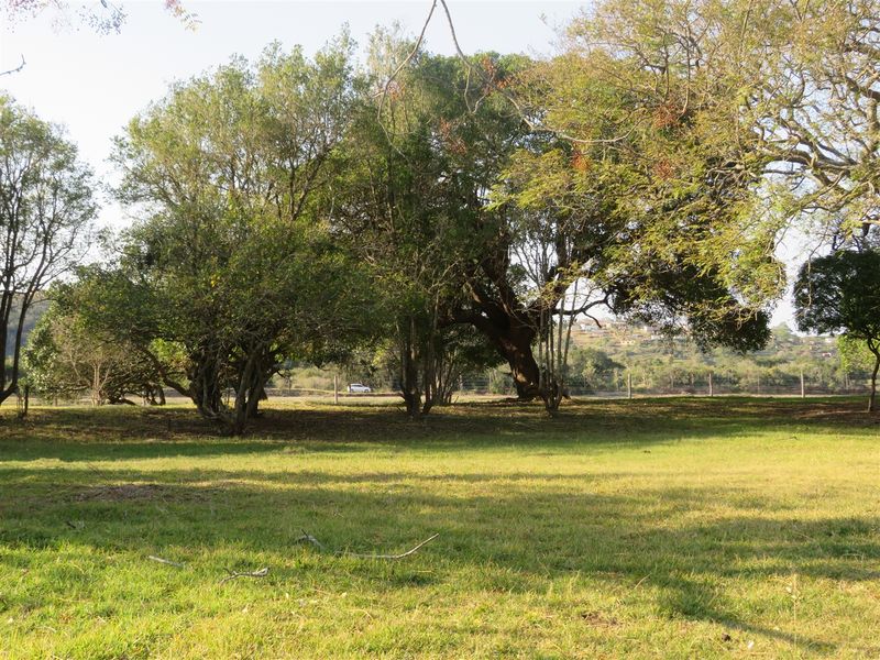 Stunning Plot on the Kowie River in Port Alfred - Photo 9