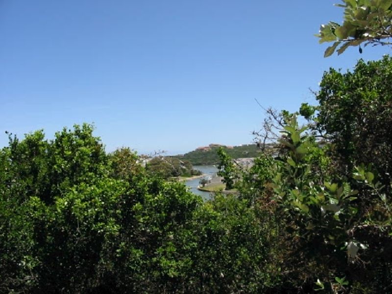 Beautiful Sea View Plot in Port Alfred. - Photo 6